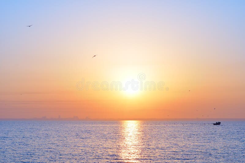 Lever de soleil et oiseaux d'océan photographie stock Lever de soleil et oiseaux d'océan photographie stock