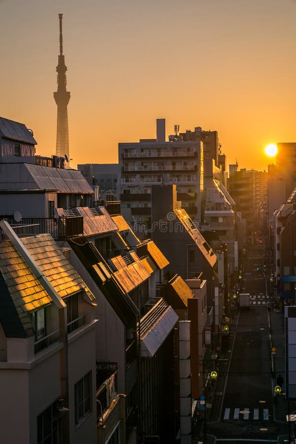 Coucher Du Soleil De Skytree De Tokyo Image Stock Image Du