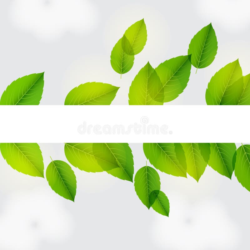 Horizontal Tree Branch Banner with Green Leaves, for Nature Design ...