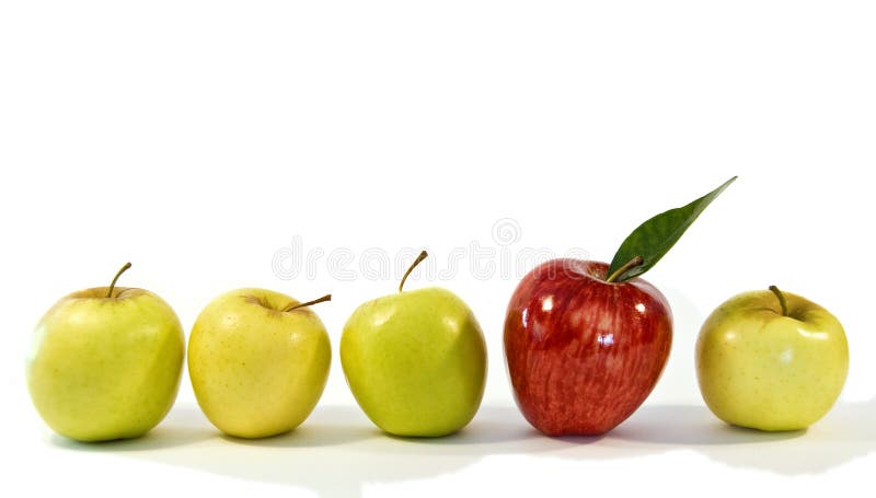 Shiny, red apple amongst smaller yellow apples. The concept is individualism, leadership and standing out from the crowd. Shiny, red apple amongst smaller yellow apples. The concept is individualism, leadership and standing out from the crowd.