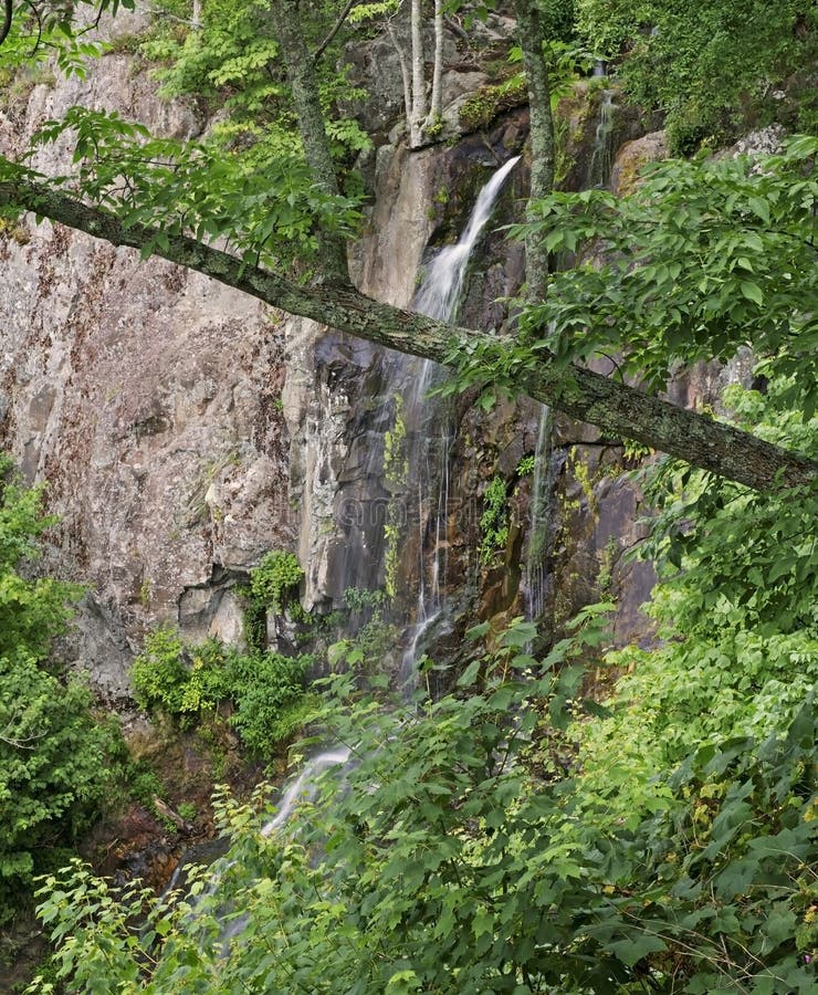 Lewis Falls, Nationalpark Shenandoah lizenzfreie stockfotografie Lewis Falls, Nationalpark Shenandoah lizenzfreie stockfotografie
