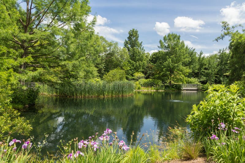 RICHMOND, VIRGINIA, USA - JUNE 2019 Lewis Ginter Botanical Garden. RICHMOND, VIRGINIA, USA - JUNE 2019 Lewis Ginter Botanical Garden