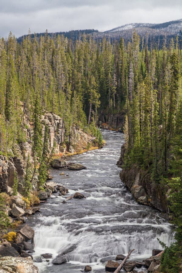 Lewis River Canyon Yellowstone N P royaltyfri foto Lewis River Canyon Yellowstone N P royaltyfri foto
