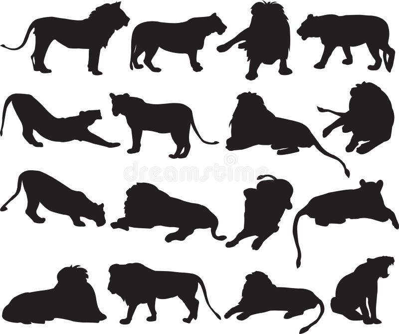 Leão africano e de leão do asiático contorno da silhueta ilustração stock Leão africano e de leão do asiático contorno da silhueta ilustração stock