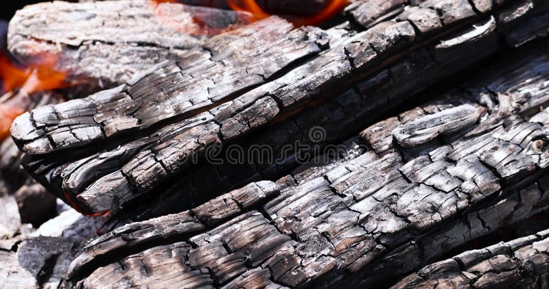 Leña de troncos en una fogata mientras se cocina y se calienta