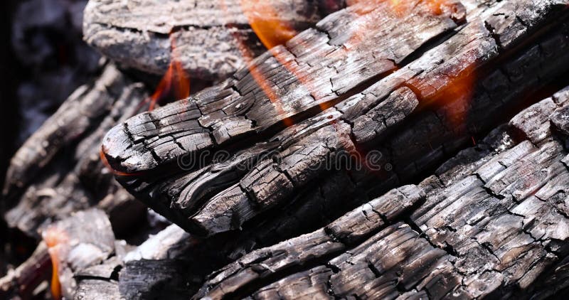 Leña de troncos en una fogata mientras se cocina y se calienta