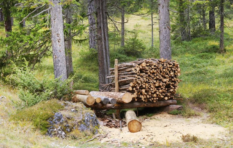 Leña empilada en el woodpile imagen de archivo Leña empilada en el woodpile imagen de archivo