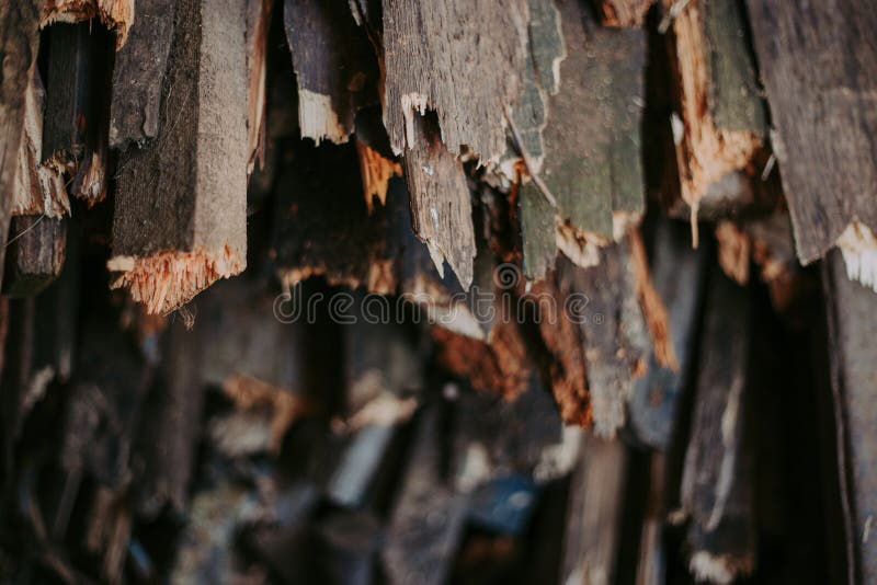 Leña, para el fuego, apilada en una pila plana Leña de la pared foto de archivo libre de regalías Leña, para el fuego, apilada en una pila plana Leña de la pared foto de archivo libre de regalías