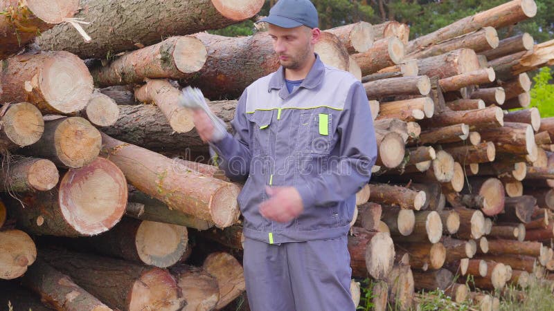 Leñador o carpintero del trabajador con un manojo grande de dinero cerca de una pila de registros, madera aserrada Concepto de ac