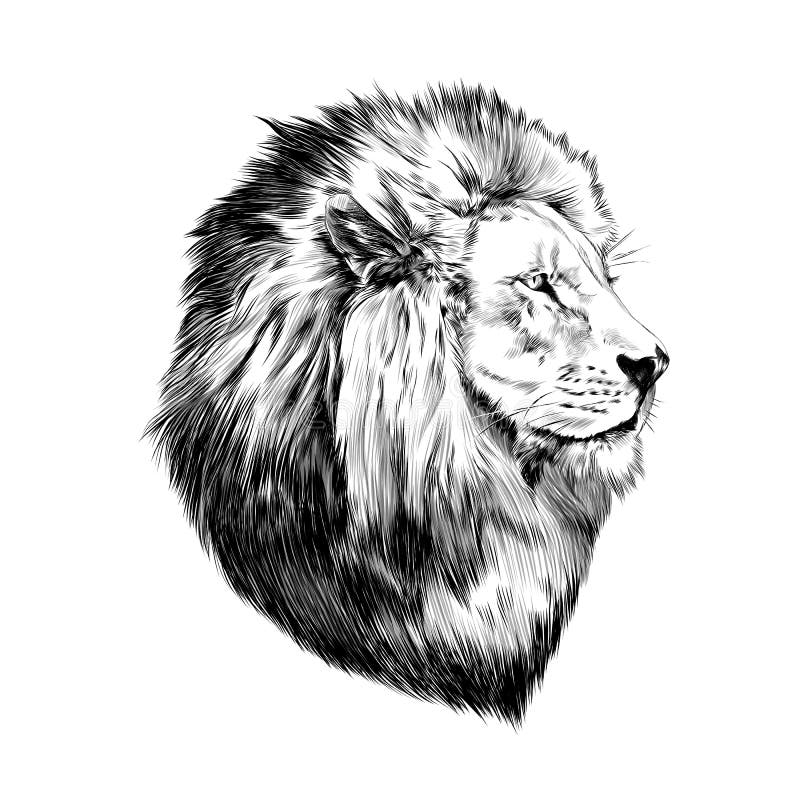 León orgulloso, cara en perfil ilustración del vector León orgulloso, cara en perfil ilustración del vector