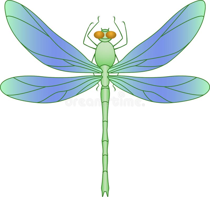 Color image of the dragonfly on a white background. Color image of the dragonfly on a white background.