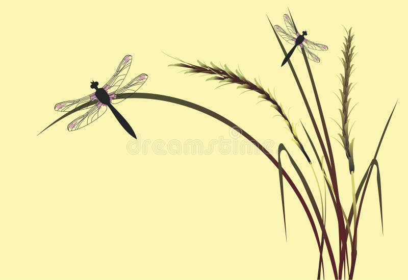 Dragonfly on a yellow background. Dragonfly on a yellow background