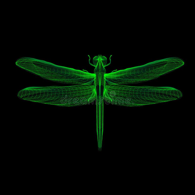 Green dragonfly. 3d hologram x-ray style vector illustration for prints, bag, tatto or t-shirt. Black background. Eps 10. Green dragonfly. 3d hologram x-ray style vector illustration for prints, bag, tatto or t-shirt. Black background. Eps 10.