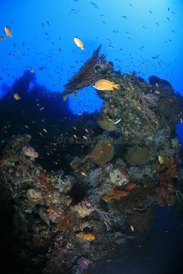Liberty shipwreck