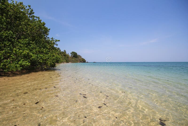 Libong Island Koh Libong Trang Thailand Stock Photo Image Of Landscape Ocean