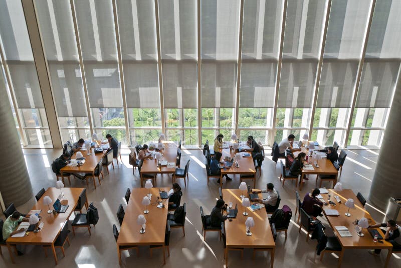 The library stock photos The library stock photos