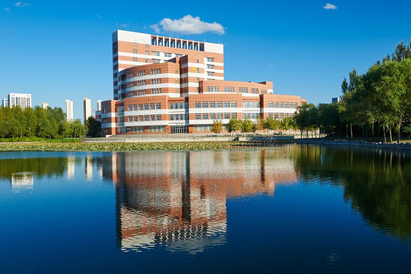 The library lakeside