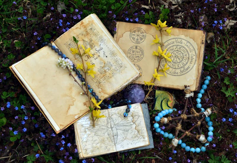 Libri magici aperti con favole e conchiglie sull'erba in giardino fotografia stock