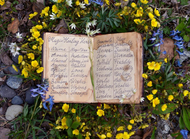 Open witch diary book with healing herbs and flowers list.  Wicca, esoteric, divination and occult concept with magic objects for mystic rituals, Halloween, Beltane background. Open witch diary book with healing herbs and flowers list.  Wicca, esoteric, divination and occult concept with magic objects for mystic rituals, Halloween, Beltane background