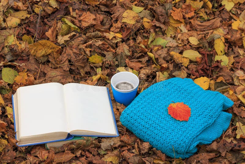 Open book, cup of hot coffee and knitted sweater on the foliage in the forest at sunset. Back to school. Education concept. Beautiful autumn background. Picturesque composition. Weekend in the Park. Open book, cup of hot coffee and knitted sweater on the foliage in the forest at sunset. Back to school. Education concept. Beautiful autumn background. Picturesque composition. Weekend in the Park.