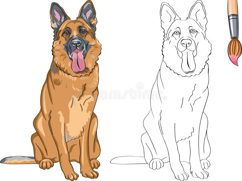 Libro de colorear del pastor alemán sonriente del perro libre illustration Libro de colorear del pastor alemán sonriente del perro libre illustration