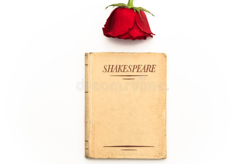 An old book by Shakespeare and a red rose sit on a white background; symbol of love and passion. An old book by Shakespeare and a red rose sit on a white background; symbol of love and passion