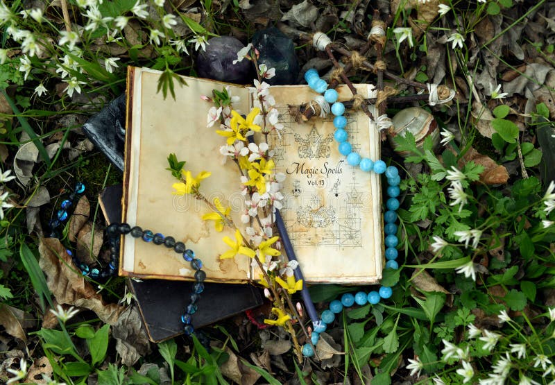 Libro magico aperto di conchiglie con cristalli sull'erba nel giardino. immagini stock