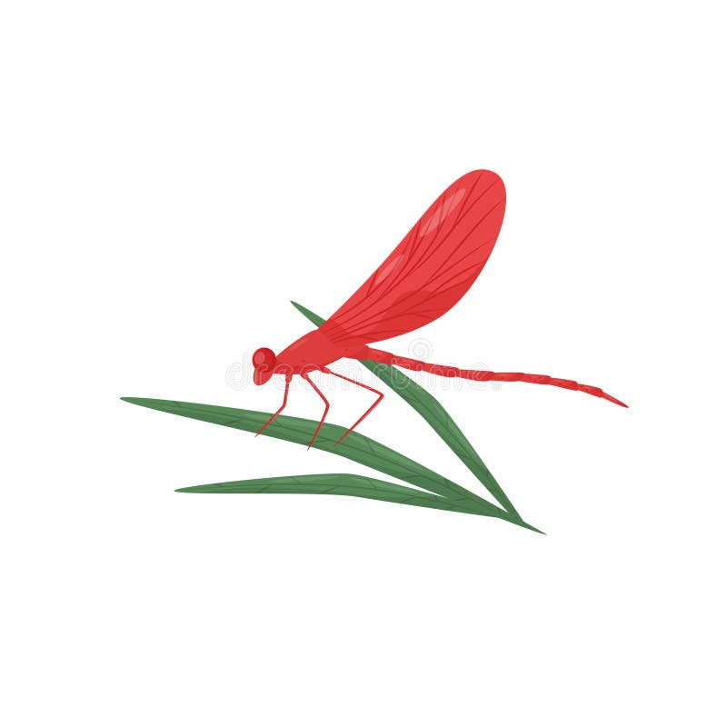 Libélula que se sienta en la hoja verde Insecto de vuelo rápido con las alas rojas brillantes y el cuerpo largo Diseño plano del libre illustration Libélula que se sienta en la hoja verde Insecto de vuelo rápido con las alas rojas brillantes y el cuerpo largo Diseño plano del libre illustration