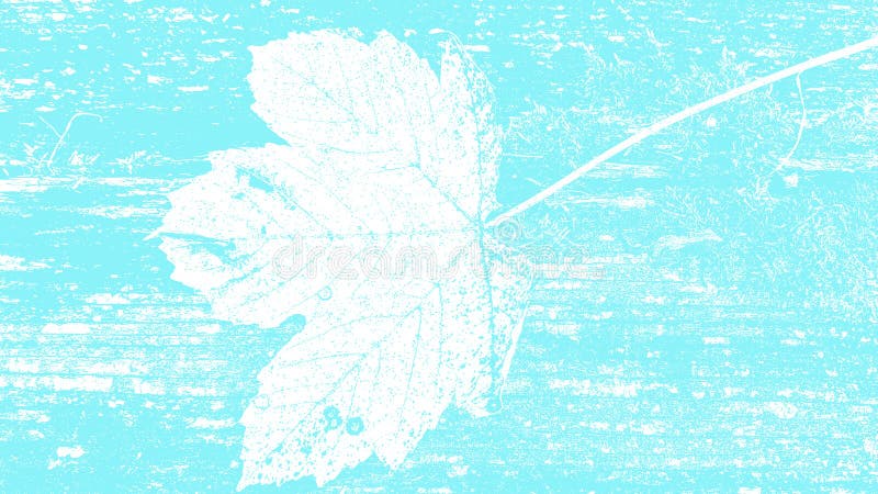 Lichtblauwe bloemen van het de oppervlakte natuurlijke silhouet van het aardblad de textuur grunge ontwerpsjabloon als achtergron royalty-vrije illustratie Lichtblauwe bloemen van het de oppervlakte natuurlijke silhouet van het aardblad de textuur grunge ontwerpsjabloon als achtergron royalty-vrije illustratie