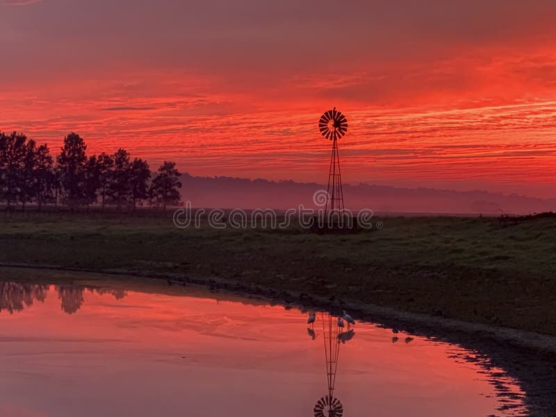 Lichte ochtendmist, windmolen, vijver met rode zonsopganghemel in landelijk platteland royalty-vrije stock afbeelding Lichte ochtendmist, windmolen, vijver met rode zonsopganghemel in landelijk platteland royalty-vrije stock afbeelding