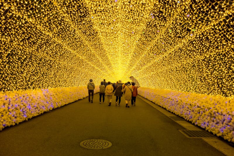 Lichte tunnel in Nabana geen verlichting van de satowinter, Japan royalty-vrije stock afbeeldingen Lichte tunnel in Nabana geen verlichting van de satowinter, Japan royalty-vrije stock afbeeldingen