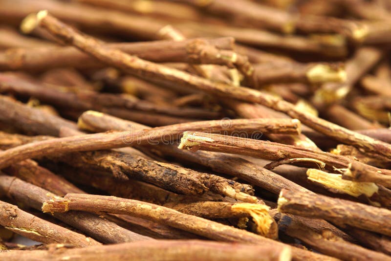 1,610 Licorice Root Plant Stock Photos Free & RoyaltyFree Stock