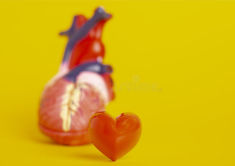Lieben Sie Ihr Konzept-lokalisiertes Herz stockfotos