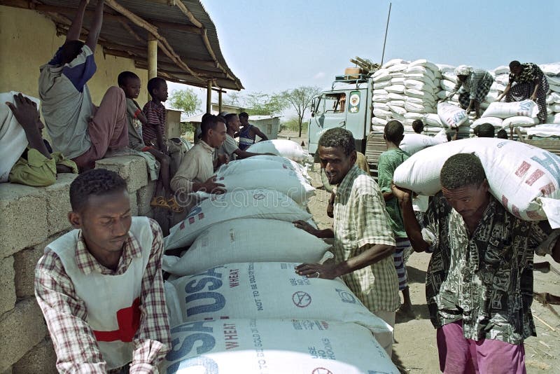 Ethiopia, Afar region: In Afar, an ethnic group of semi-nomadic livestock farmers, there is a threat of famine due to drought and massive death of their livestock. Employees and truck of the Red Cross, Comite International Geneve, deliver to a group Afar in the scorching heat of the Danakil Desert, a freight US wheat, food distribution, emergency aid. Red Cross staff and Afar men work peacefully together during the unloading of food, foodstuffs. People carrying, lugging, food supplies distributed by the Red Cross. Due to global warming and El Nino the region is plagued by persistent drought, droughts. Ethiopia, Afar region: In Afar, an ethnic group of semi-nomadic livestock farmers, there is a threat of famine due to drought and massive death of their livestock. Employees and truck of the Red Cross, Comite International Geneve, deliver to a group Afar in the scorching heat of the Danakil Desert, a freight US wheat, food distribution, emergency aid. Red Cross staff and Afar men work peacefully together during the unloading of food, foodstuffs. People carrying, lugging, food supplies distributed by the Red Cross. Due to global warming and El Nino the region is plagued by persistent drought, droughts.