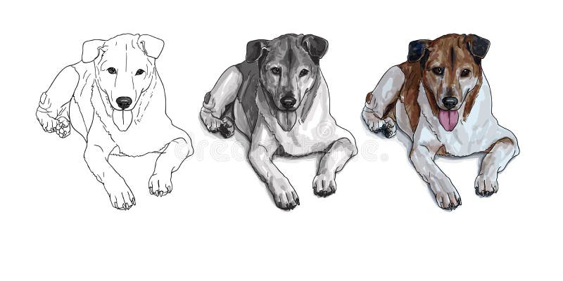 Zeichnung Des Traurigen Streunenden Hundes Vektor