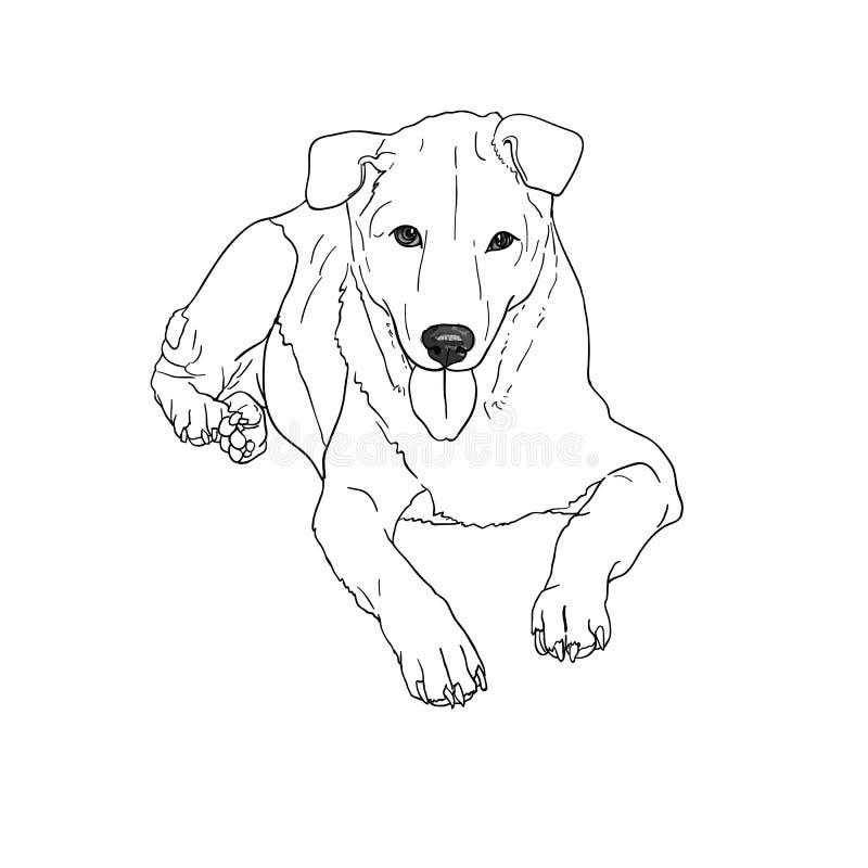 zeichnung des traurigen streunenden hundes vektor