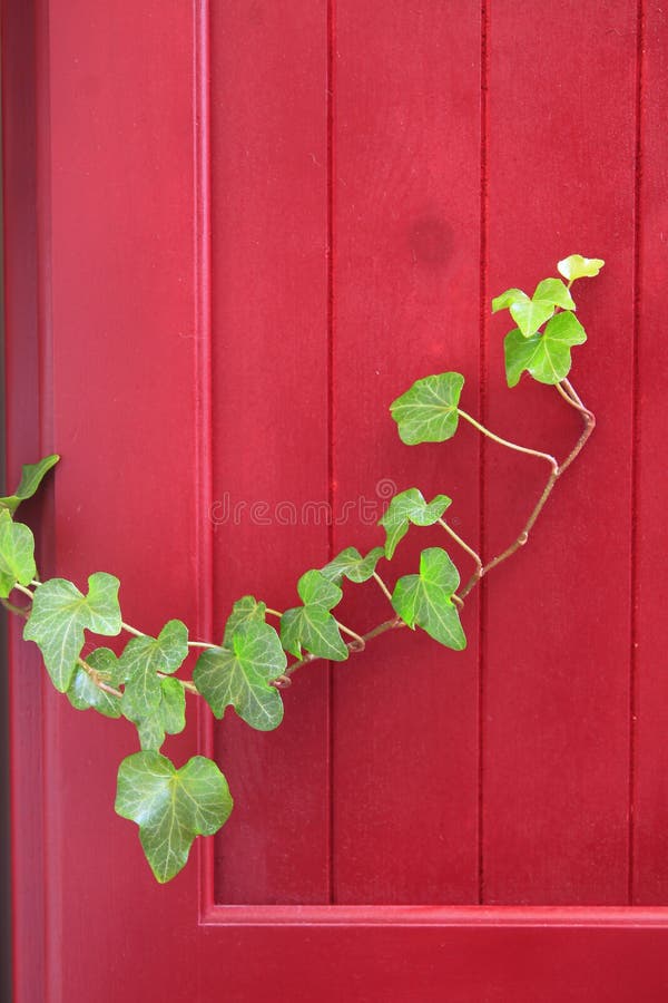 Lierre et panneau rouge de grange photos stock Lierre et panneau rouge de grange photos stock