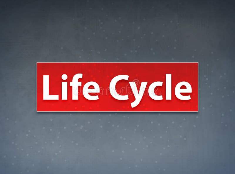 Life Cycle Background