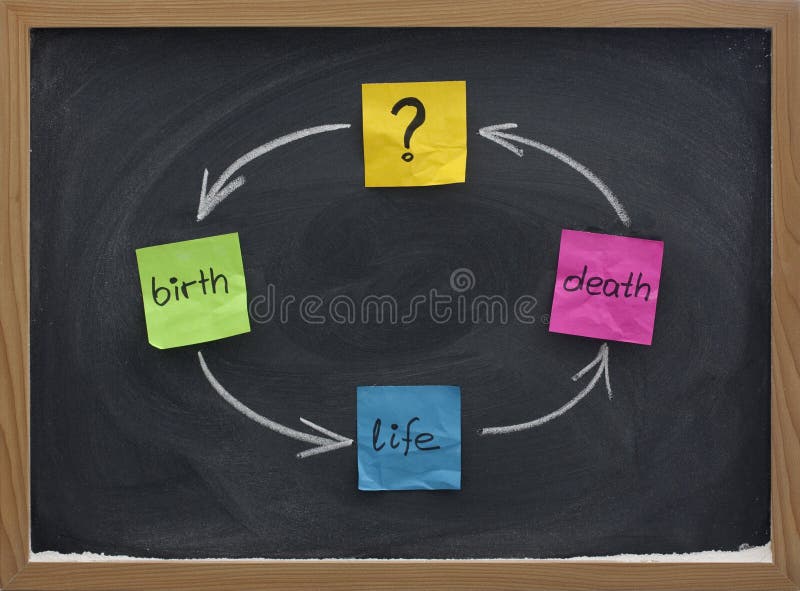Life cycle or reincarnation concept on blackboard