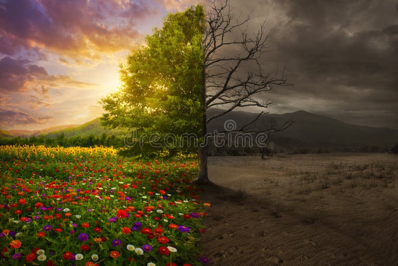 Bella colorato paesaggio si trasforma in un deserto senza colore.