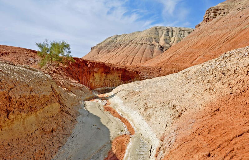 Life in the desert. aktau desert. north tien shan