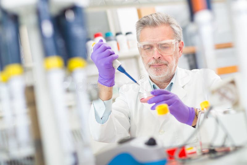 Life scientist researching in the laboratory. royalty free stock photography