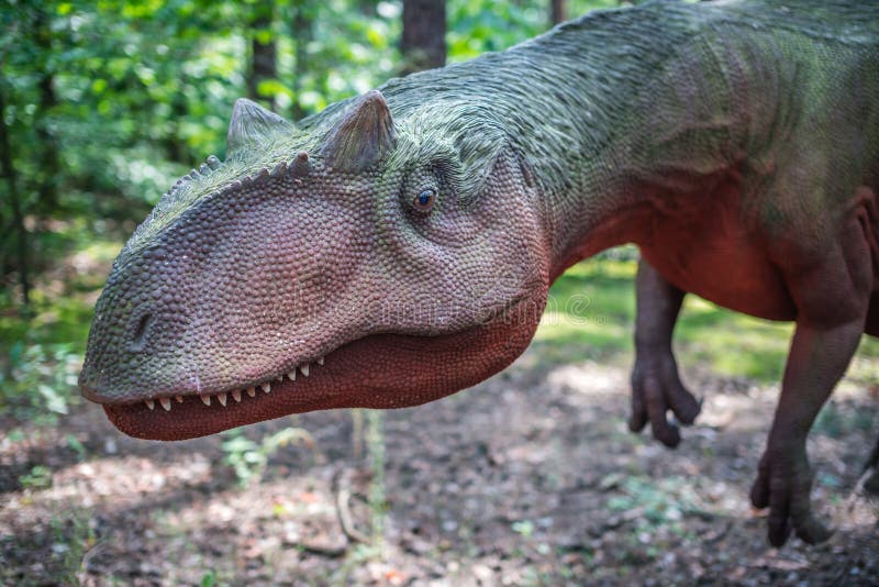 Life sized Allosaurus dinosaur statue in a forest