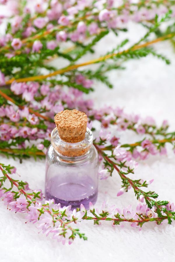 life spa ακόμα στοκ φωτογραφία με δικαίωμα ελεύθερης χρήσης life spa ακόμα στοκ φωτογραφία με δικαίωμα ελεύθερης χρήσης