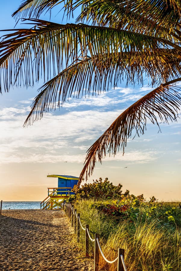 Lifeguard Tower, Miami Beach, Florida