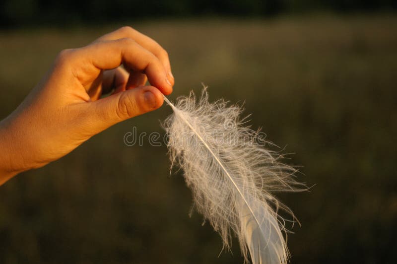 Delicate feminine fingers delicately holding a single soft white feather, golden warm light casting dreamy shadows, evoking gentle teasing sensuality