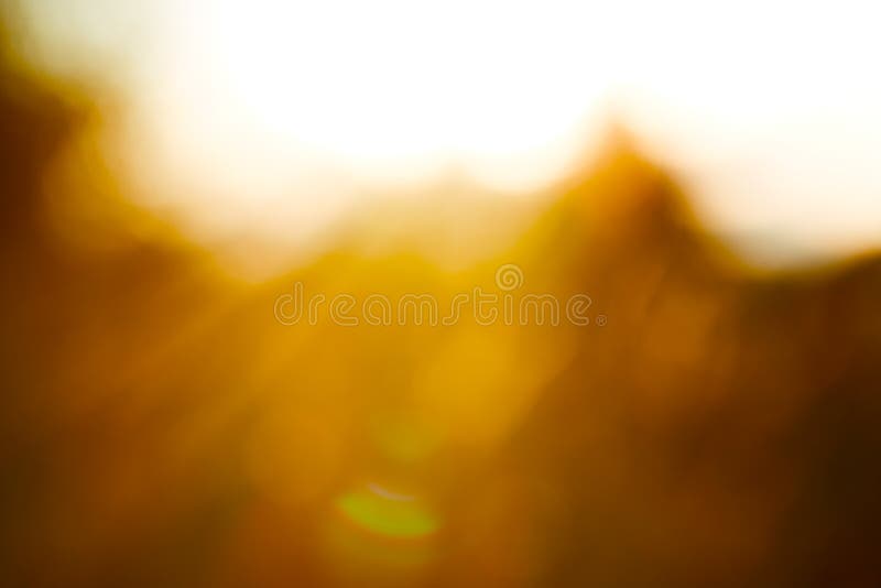 Light backdrop. Beautiful autumn nature. Autumn garden. Grass background. Green farm. Summer color. Abstract art. royalty free stock photography Light backdrop. Beautiful autumn nature. Autumn garden. Grass background. Green farm. Summer color. Abstract art. royalty free stock photography