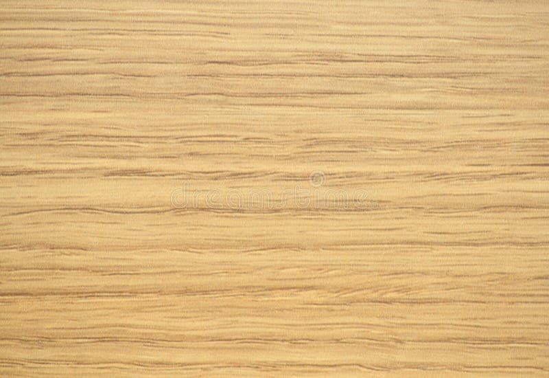 Light Beech, Flat Polished Natural Wood Surface Closeup Stock Image