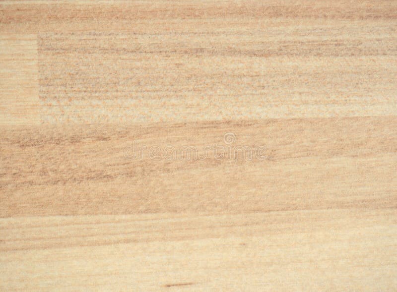 Light Beech, Flat Polished Natural Wood Surface Closeup Stock Photo