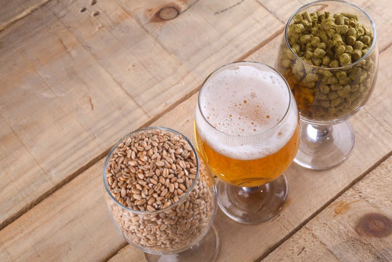 light-beer-and-ingredients-stock-photo-image-of-homebrewing-67630624